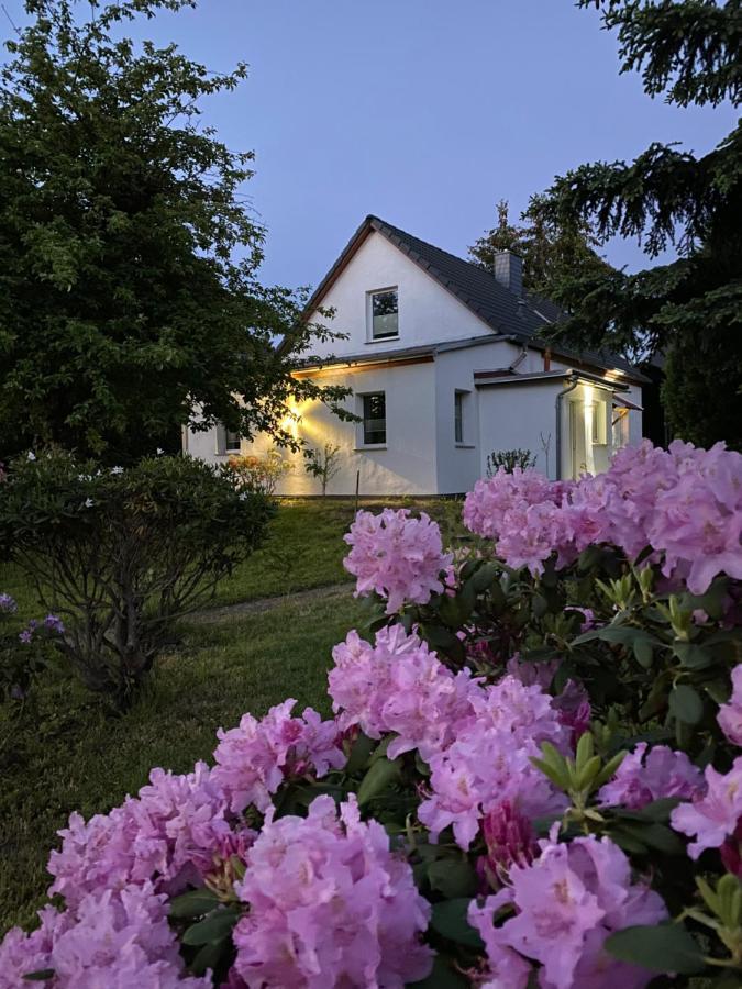 Gemuetliches Ferienhaus Spremberg Dış mekan fotoğraf